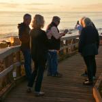 Cambria_0181 (November 04, 2017)